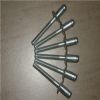 hot-selling stainless steel blind rivet with competitive price